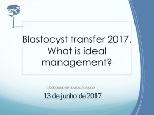 Blastocyst-Transfer-2017-1