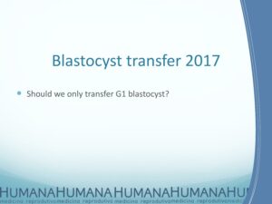 Blastocyst-Transfer-2017-16