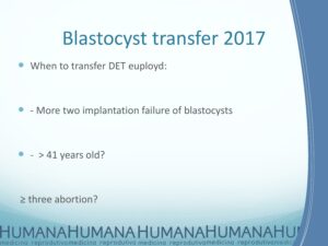 Blastocyst-Transfer-2017-17
