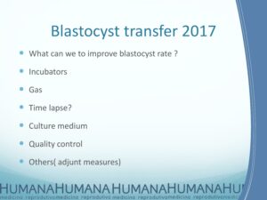 Blastocyst-Transfer-2017-18