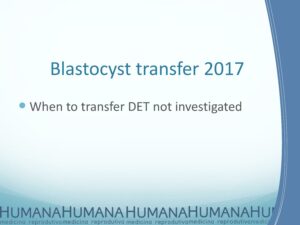 Blastocyst-Transfer-2017-19