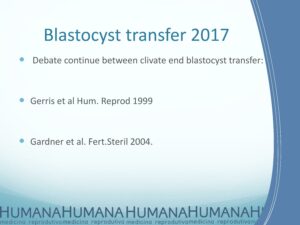 Blastocyst-Transfer-2017-2