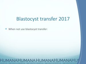 Blastocyst-Transfer-2017-20