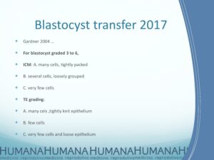 Blastocyst-Transfer-2017-4