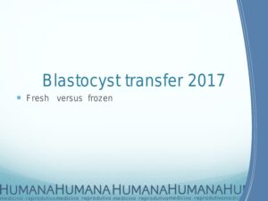 Blastocyst-Transfer-2017-5