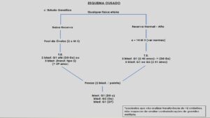 Protocolos-de-Transferência-10