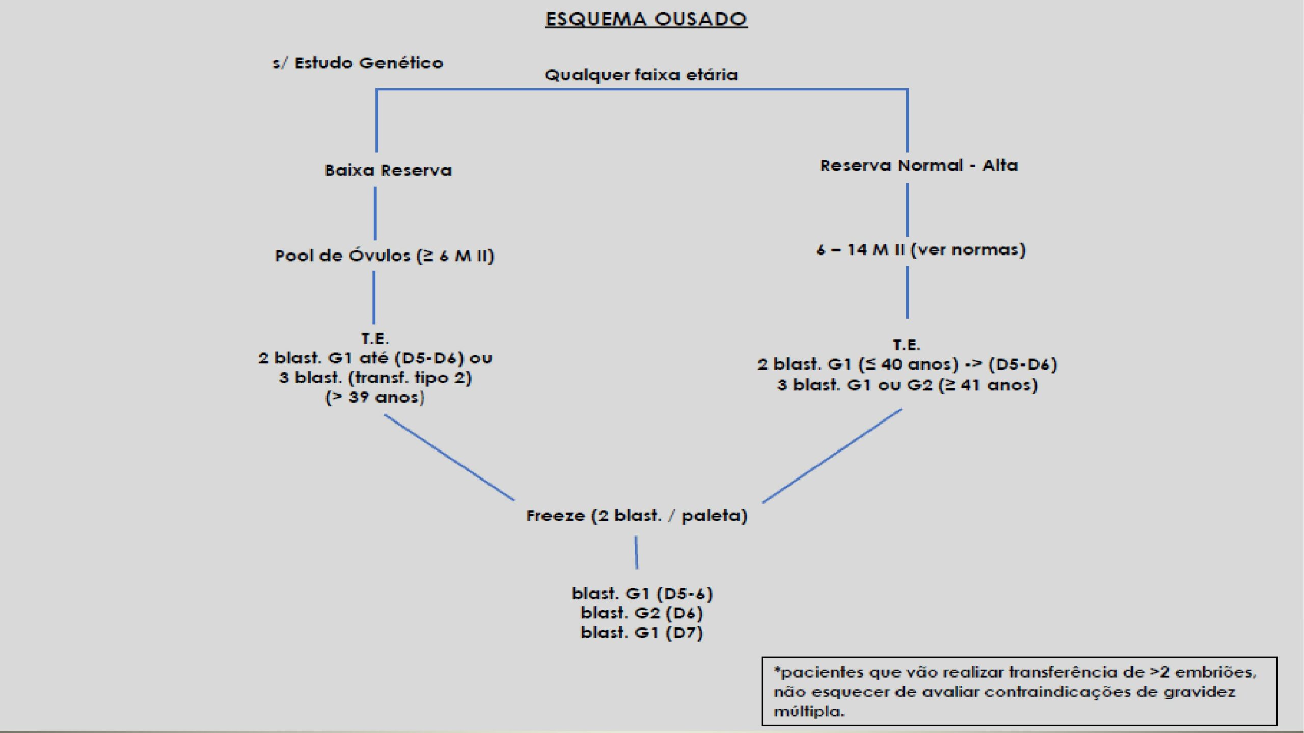 Protocolos-de-Transferência-10