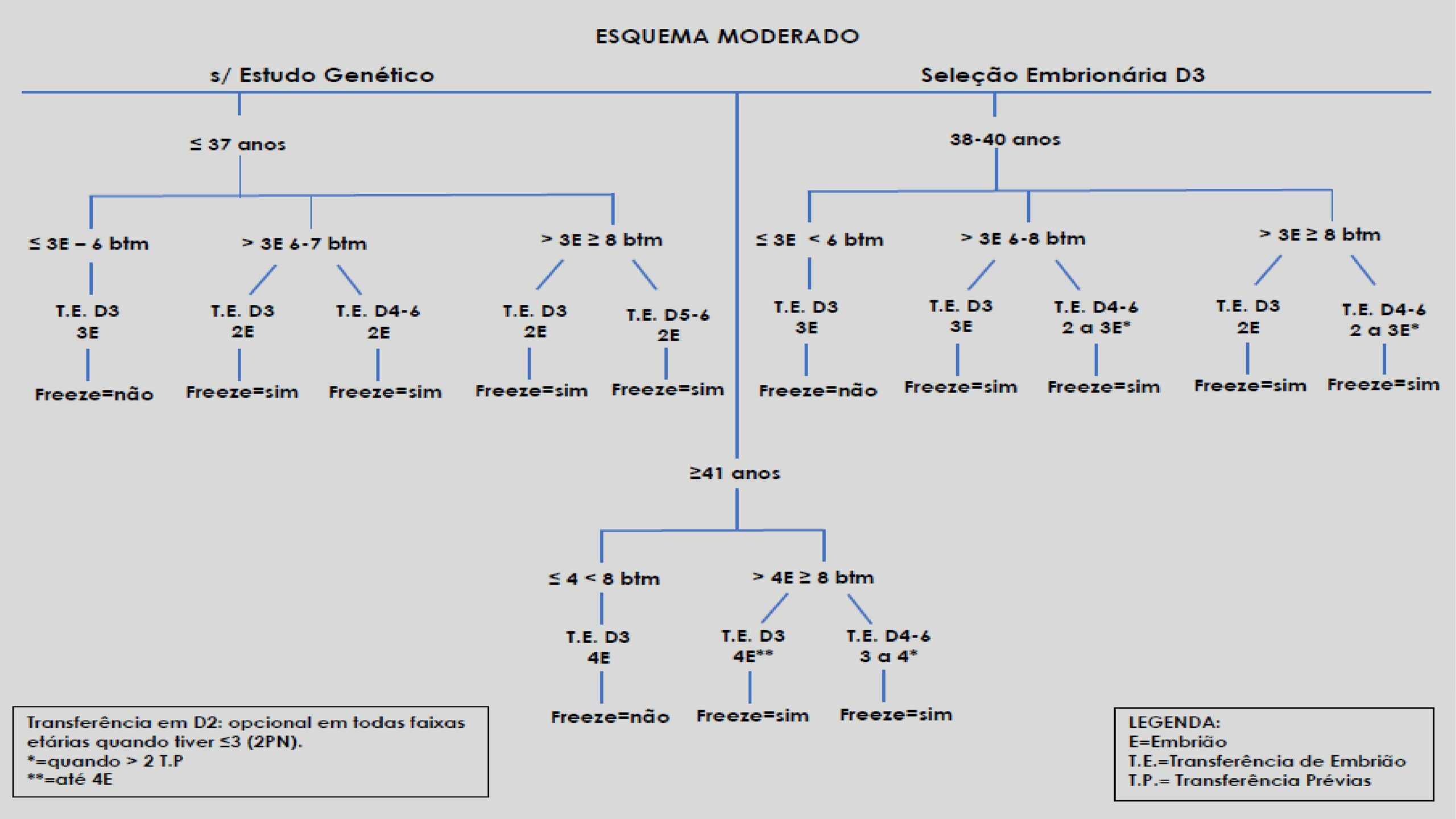 Protocolos-de-Transferência-15