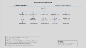 Protocolos-de-Transferência-6