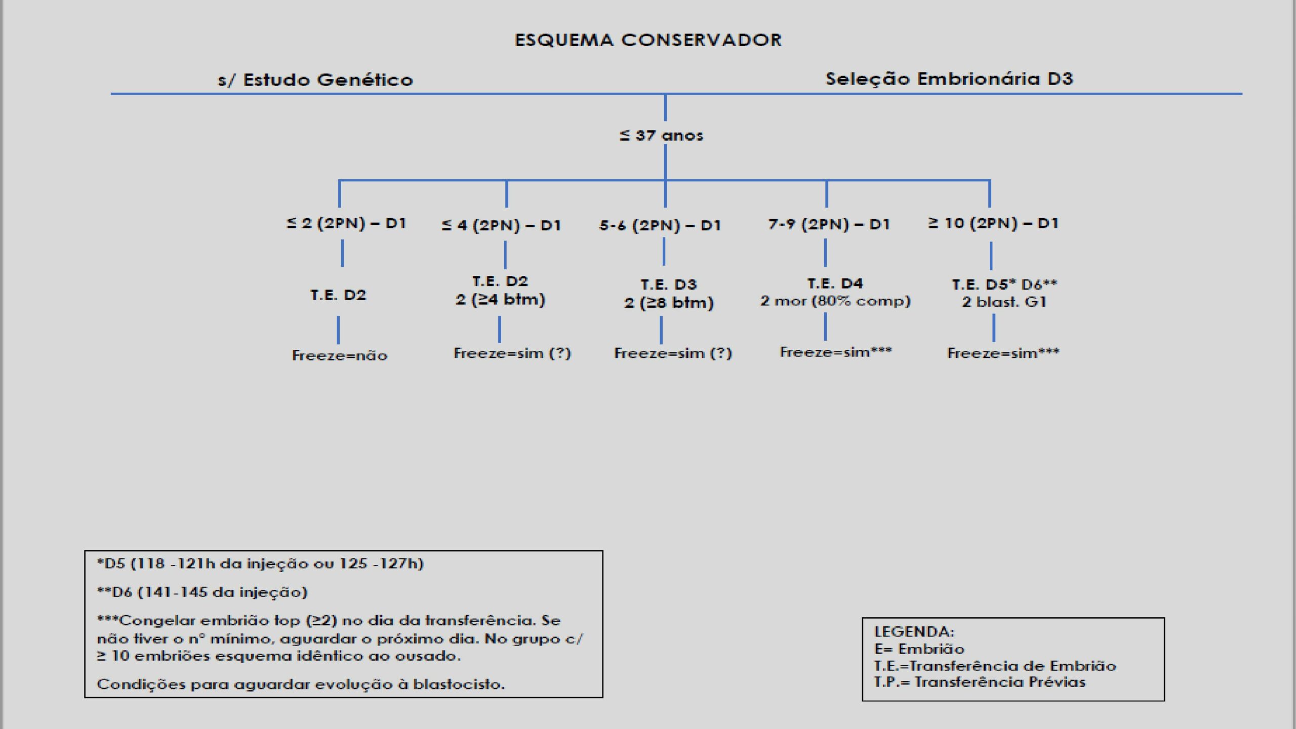Protocolos-de-Transferência-6