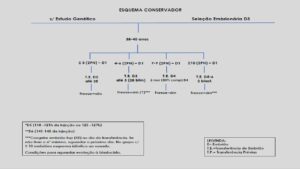 Protocolos-de-Transferência-7