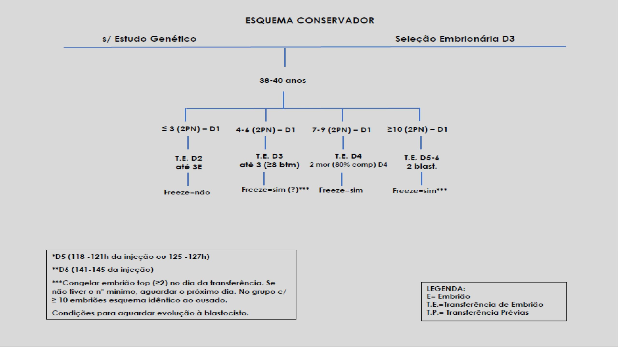 Protocolos-de-Transferência-7