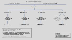 Protocolos-de-Transferência-8