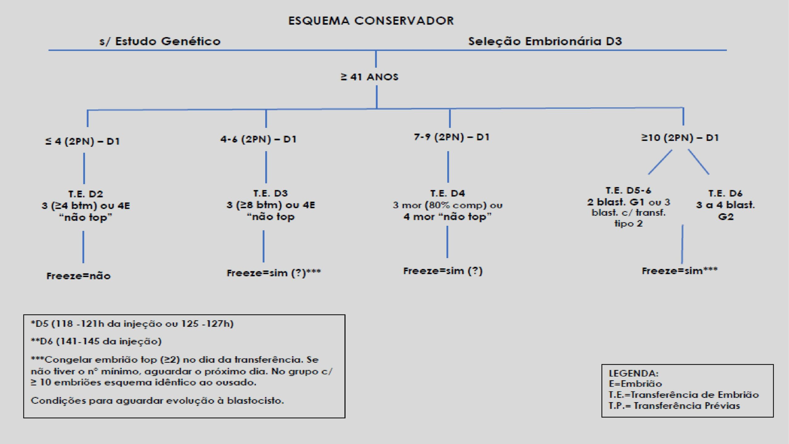 Protocolos-de-Transferência-8
