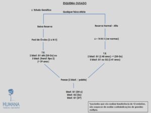 Validação-de-classificação-de-transferência-e-protocolos-10