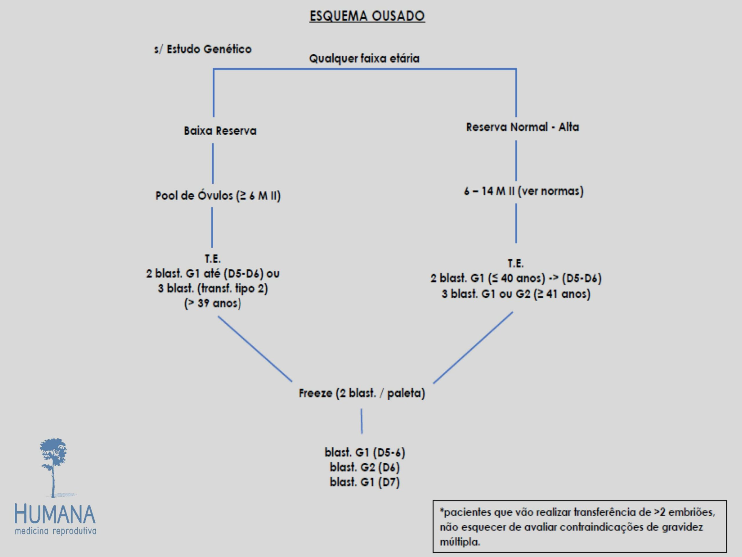 Validação-de-classificação-de-transferência-e-protocolos-10