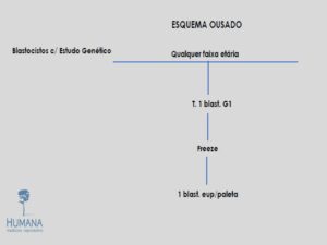 Validação-de-classificação-de-transferência-e-protocolos-11