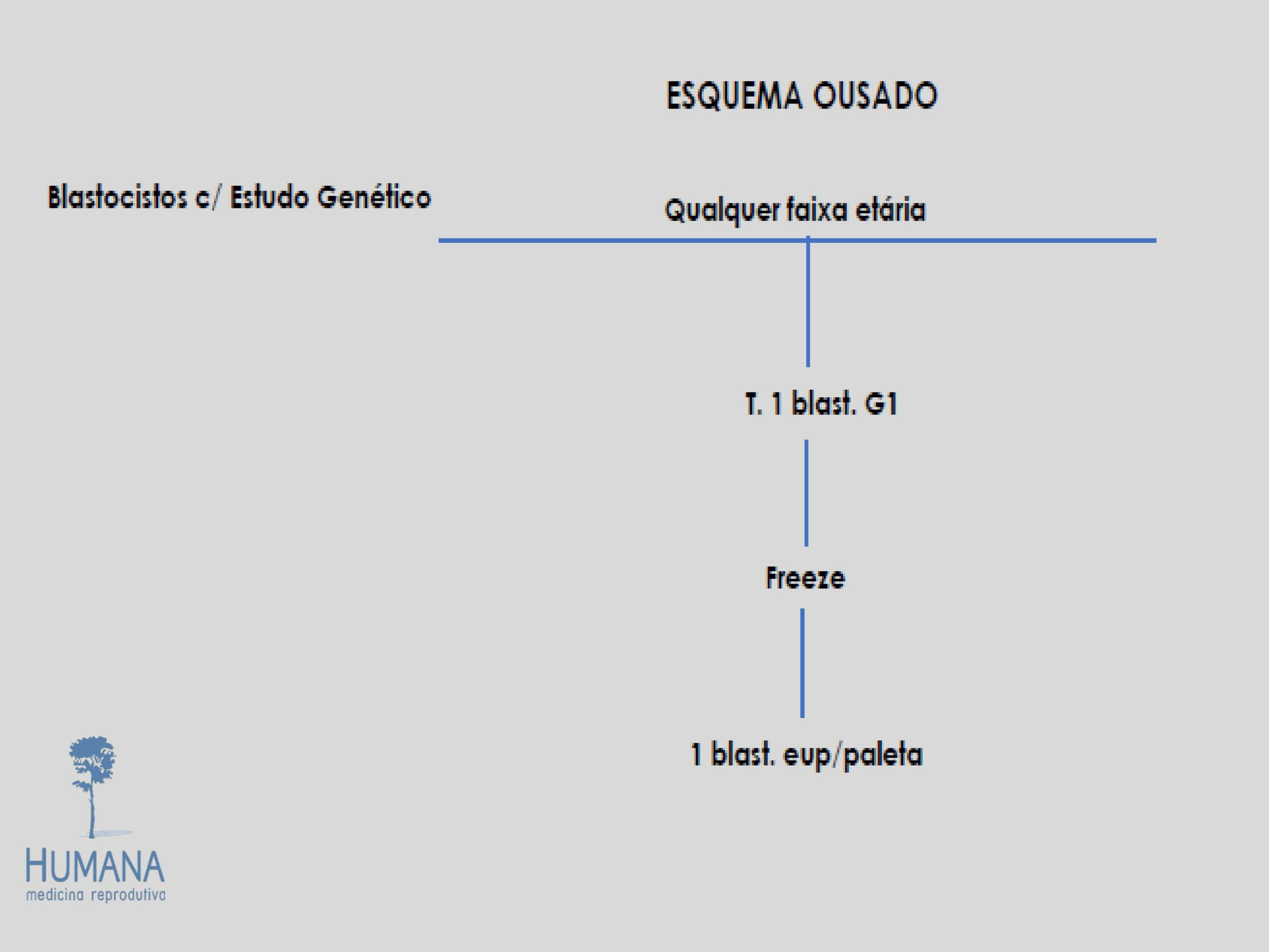 Validação-de-classificação-de-transferência-e-protocolos-11