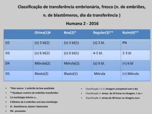 Validação-de-classificação-de-transferência-e-protocolos-2