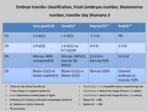 Validação-de-classificação-de-transferência-e-protocolos-6