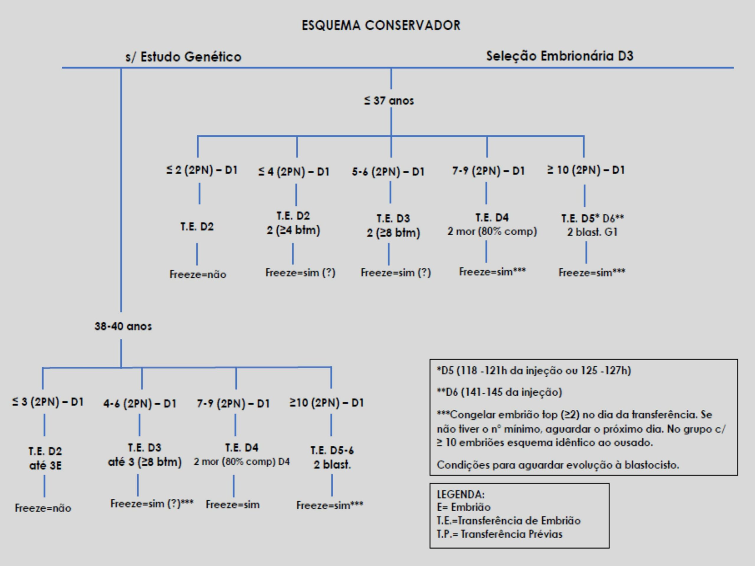 Validação-de-classificação-de-transferência-e-protocolos-7