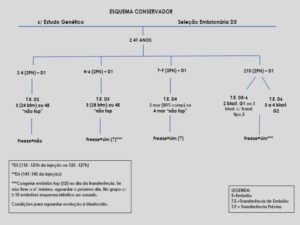 Validação-de-classificação-de-transferência-e-protocolos-8