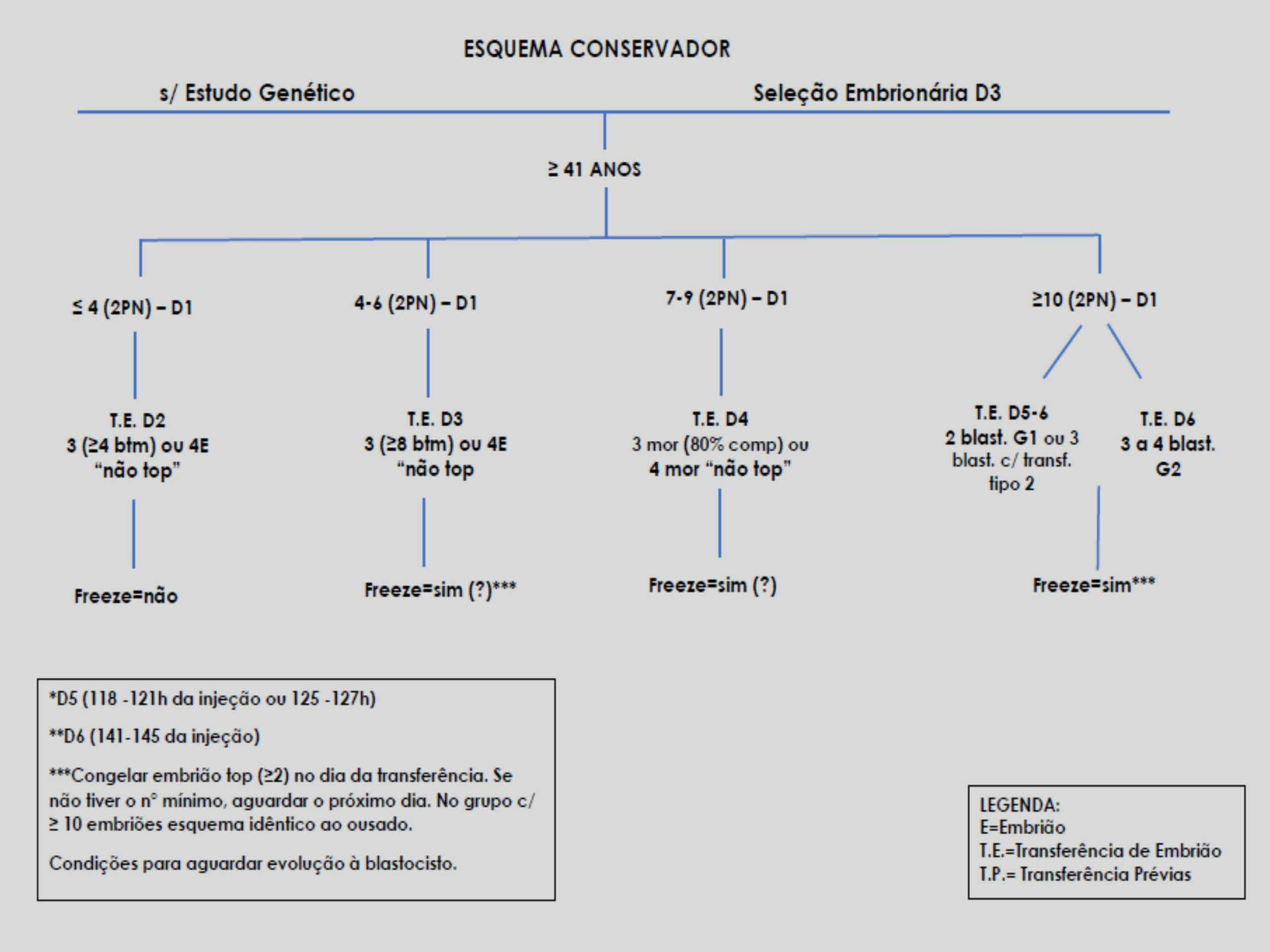 Validação-de-classificação-de-transferência-e-protocolos-8