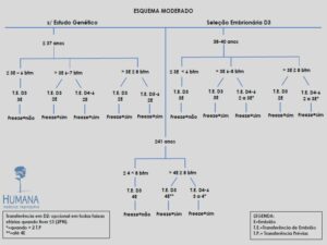 Validação-de-classificação-de-transferência-e-protocolos-9