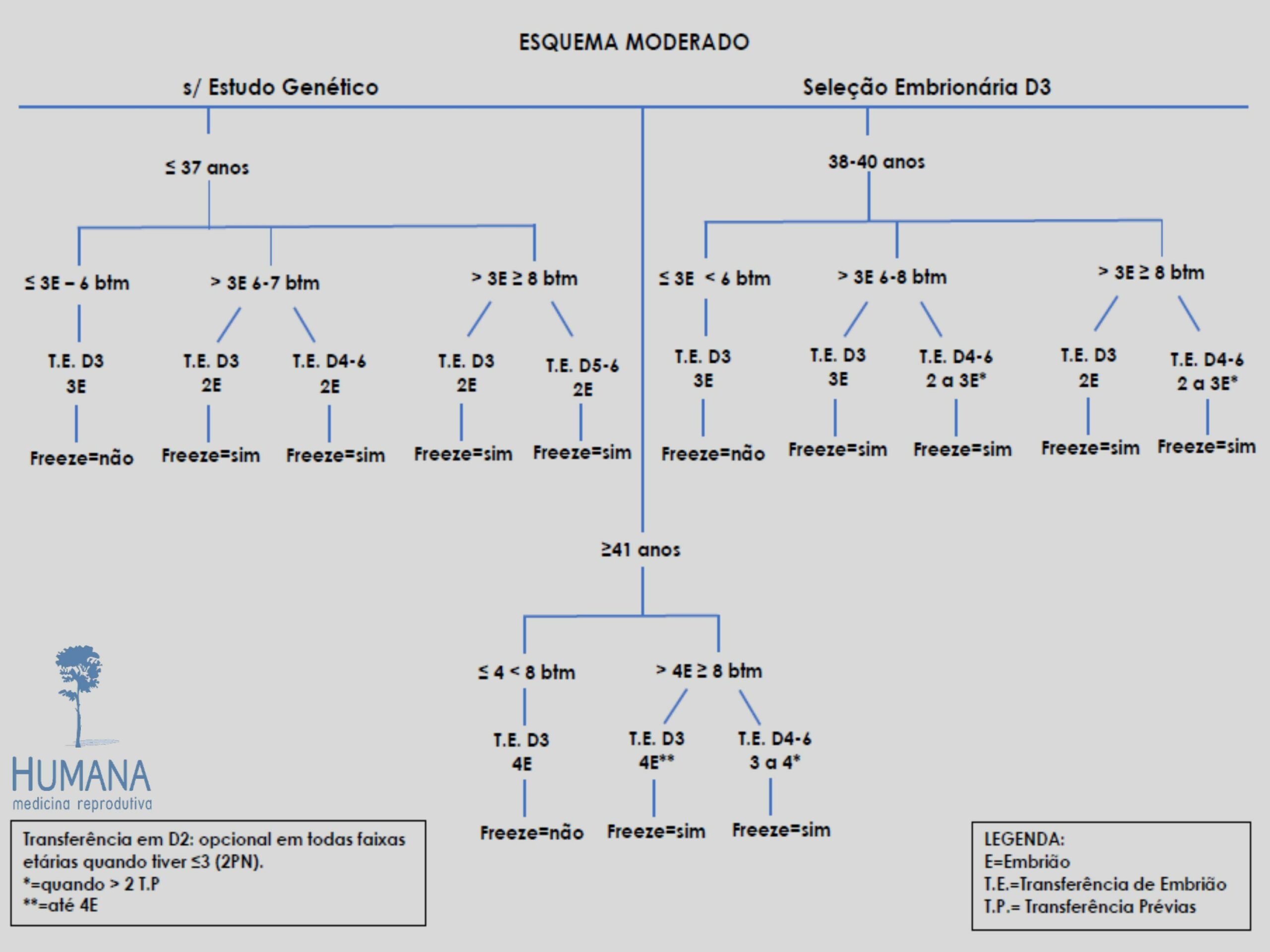Validação-de-classificação-de-transferência-e-protocolos-9